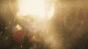 Chinese New Year Snacks GIF by League of Legends