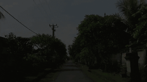 EZTVMuseum giphygifmaker GIF