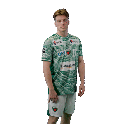 Handball Berlin Sticker by DAIKIN HBL