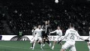 Football Win GIF by SK Sturm Graz