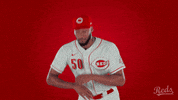 Amir Garrett Baseball GIF by Cincinnati Reds