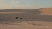 The Force Awakens Desert GIF by BabylonBee