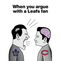 Toronto Maple Leafs Nhl GIF
