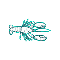 Water Ocean Sticker by Louisiana's Cajun Bayou