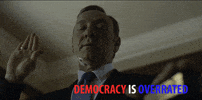 house of cards netflix GIF by Alex Bedder