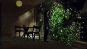 Indie Plants GIF by Cosmica Artists