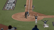 Happy Major League Baseball GIF by MLB