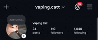 Cat Instagram Gif GIF