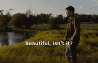 thelosthusband texas sunset cowboy ranch GIF
