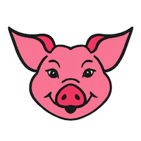Hornetapp Sticker by Hornet Türkiye