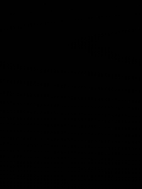 Bug Numberi GIF