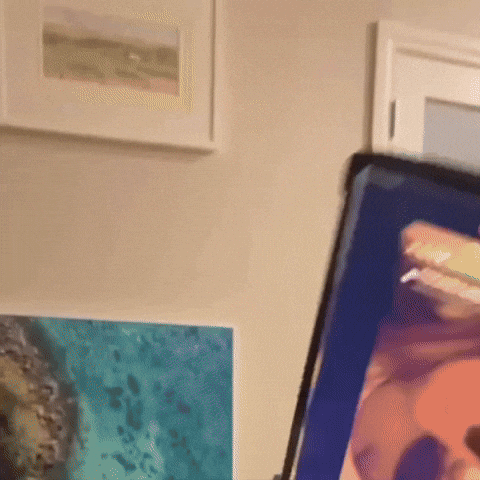 HuckPhtoee giphyupload giphystrobetesting willsyboo willsyboorage GIF