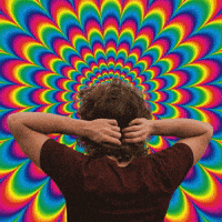 Trip Mandala GIF