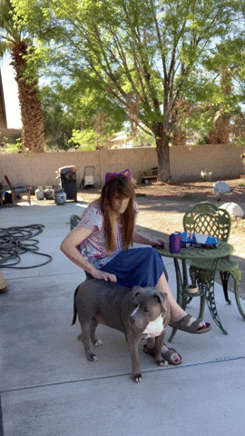 Brenda702 giphyupload GIF