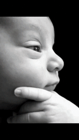 Happy Birthday GIF by Youtooz