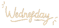 byflorenirn work school friday day Sticker