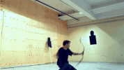 bow and arrow GIF