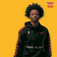 HawksTalonGC arrow shoot bow shooter GIF