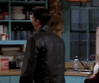 Season 4 Ross GIF by Friends