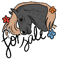 For Sale Hobbyhorse Sticker