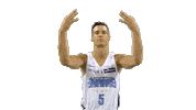 Basket Sticker by Antibes Sharks