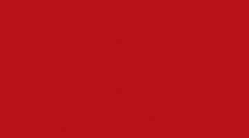 celebrate cricket world cup GIF by Bira 91