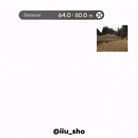 Endfield GIF