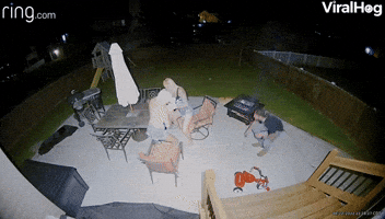 Ducking and Covering From the Sprinkler