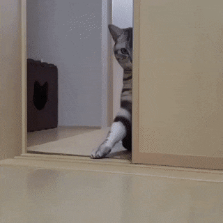 GIF by MOODMAN