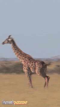 Run Running GIF by Wind Sun Sky Entertainment