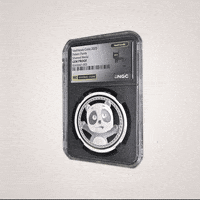 Panda Coin GIF by VeeFriends