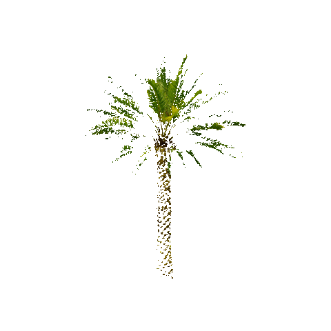 Palm Tree Sticker by Indio International Tamale Festival