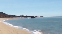 Dozens of Migrants Land on Sicilian Beach as Sunbathers Look On