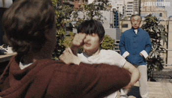 Karate Kid Fight GIF by Sony Pictures