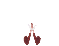 Go Fast Baby Sticker by Raissa