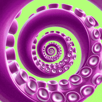 Octopus Mesmerizing GIF by Feliks Tomasz Konczakowski