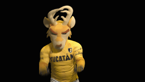 GIF by Venados FC