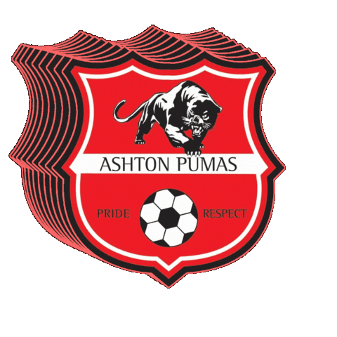 Football Womensfootball Sticker by Ashton Pumas Womens