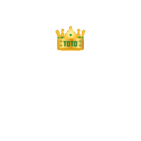 Sc Heerenveen Team Sticker by Toto