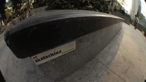 toreypudwill giphygifmaker fun skateboarding grizzly GIF