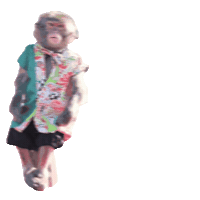 Fun Monkey Sticker