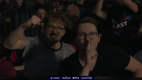 Counterstrike GIF by BLAST
