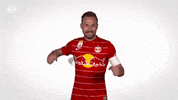 Red Bull Yes GIF by FC Red Bull Salzburg