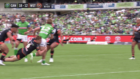 Rugby League Nrl GIF by Canberra Raiders