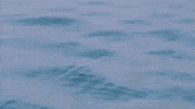 Under Water Swimming GIF by Tennis