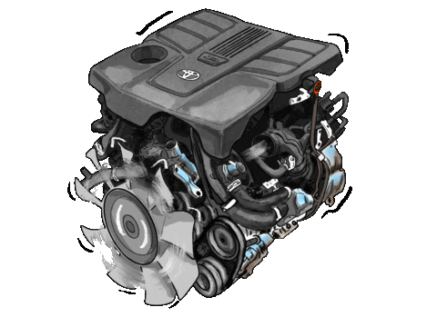 Toyota Motor Sticker