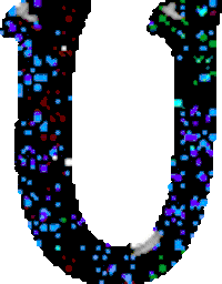 q STICKER