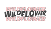 Logo Love Sticker by Wildflower Space