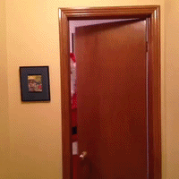 smellslikegingerbreadanddeath GIF by Brittlestar