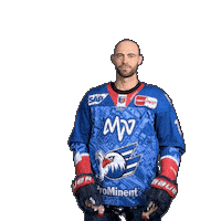 Hockey Fight Espo Sticker by Adler Mannheim